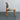 Premium Modern Fabric Upholstered Solid Oak Wood Dining Chair