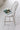 Elegant Birchwood French Vintage Dining Chair for Home, Hotel, Kitchen
