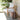Luxurious Oak Wood Frame White Linen Modern Accent Armchair for Living Room
