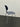 Iconic Arne Jacobsen Ant Chair by Fritz Hansen, Minimalist Plywood Design
