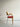 Vintage Danish Magnus Olesen Dining Chair: Mid-Century Modern Beechwood Fabric